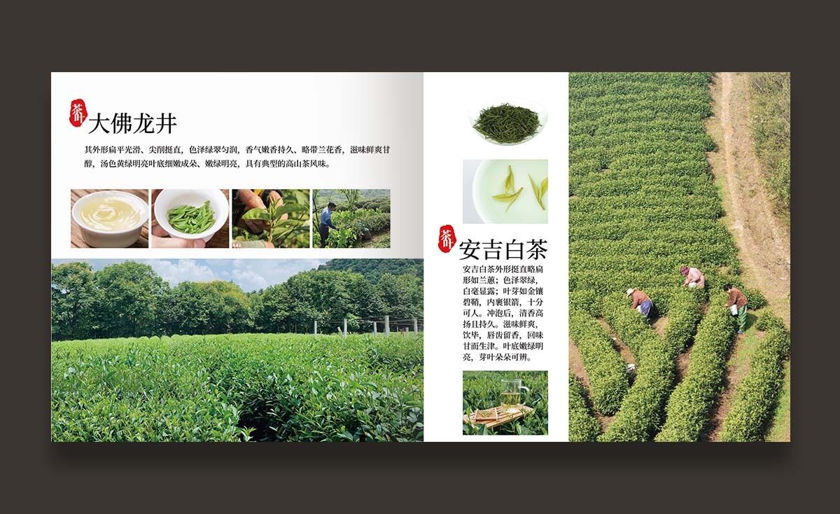 冬季農產品 產品手冊設計【農創客發展中心】圖7