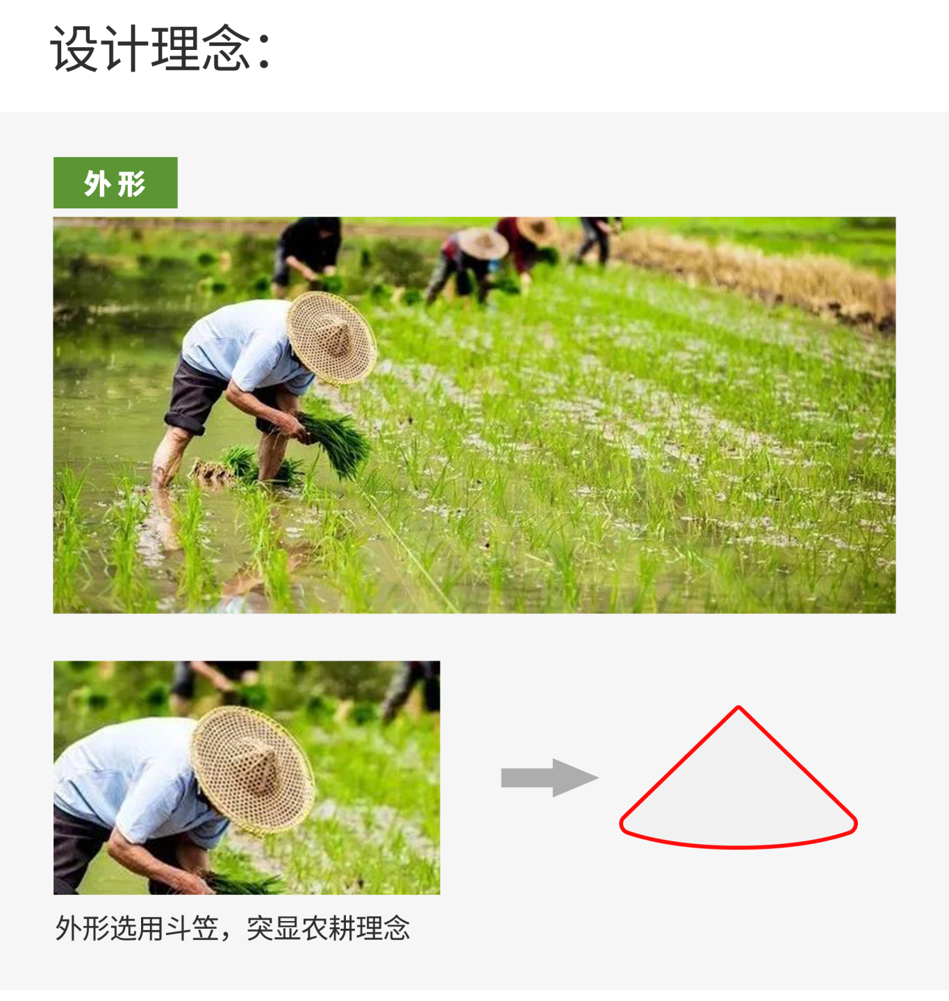 大山密语 地区农业品牌【LOGO设计】图1