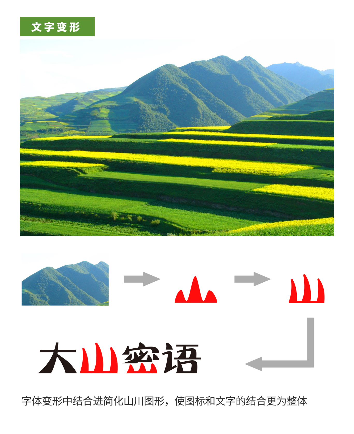 大山密语 地区农业品牌【LOGO设计】图4