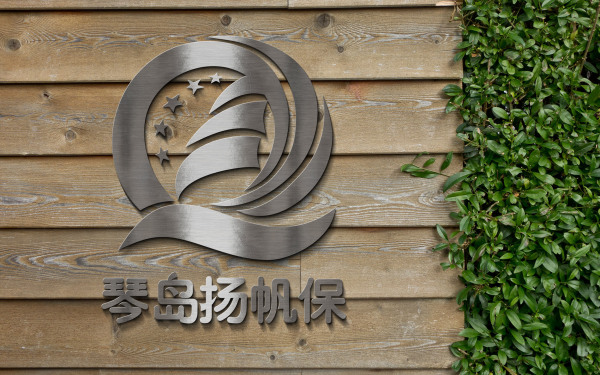 青岛商业补充保险logo设计