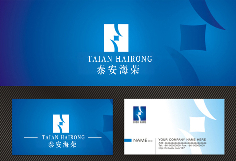 泰安海荣投资顾问有限公司logo设计图2