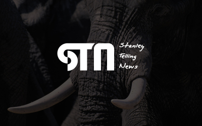 STN游戏新闻logoVI设计