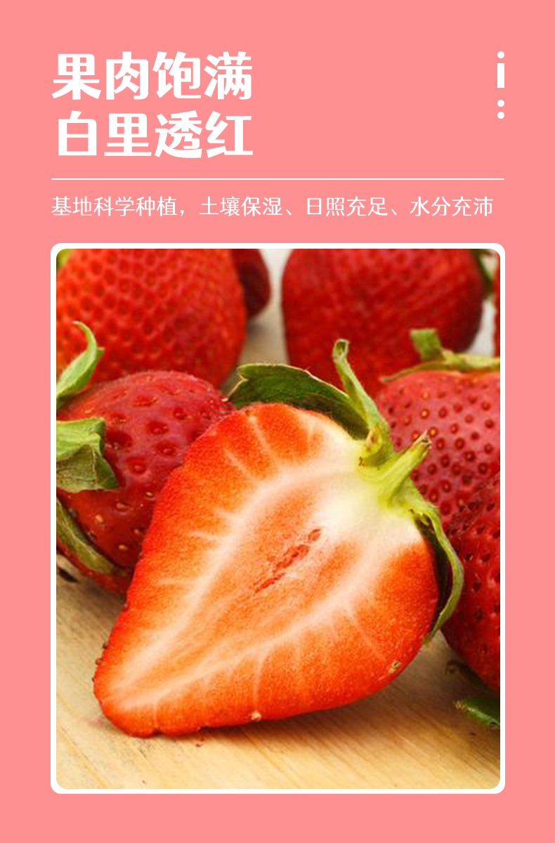 草莓详情案例1图6