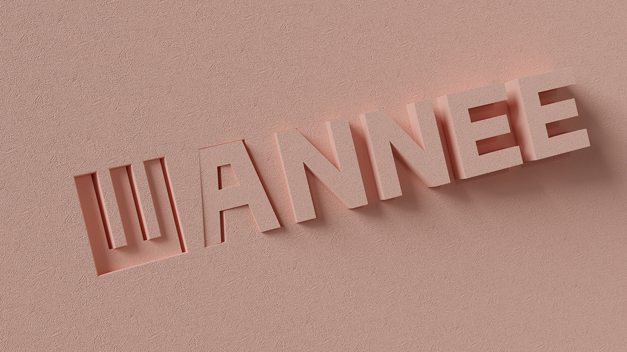 旺尼WANNEE品牌包装设计图11