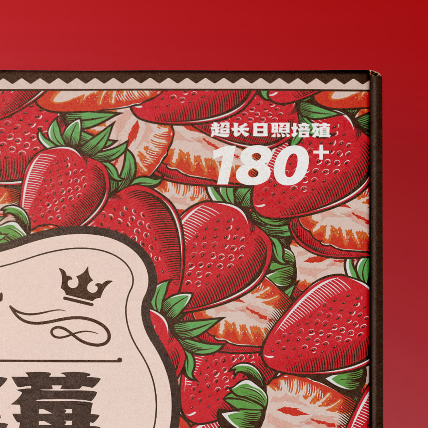 万绿村草莓番茄农产品包装设计图6
