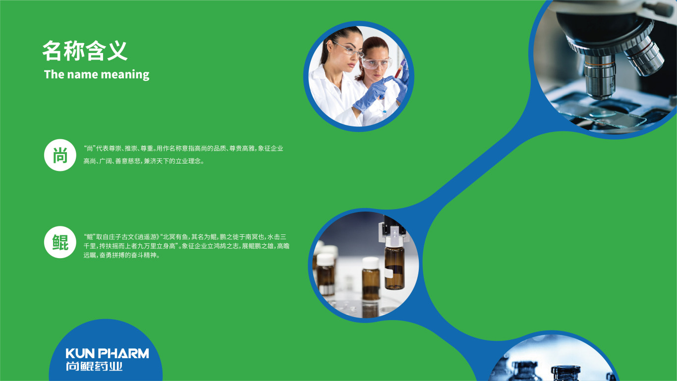 尚鲲药业 医药/生物科技 logo/vi设计图2