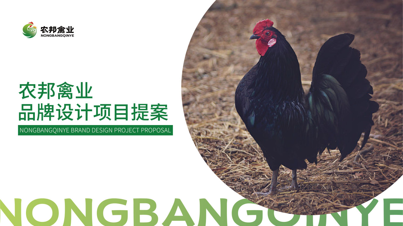 农邦禽业 农产品/养殖场/鸡 logo/vi设计图0