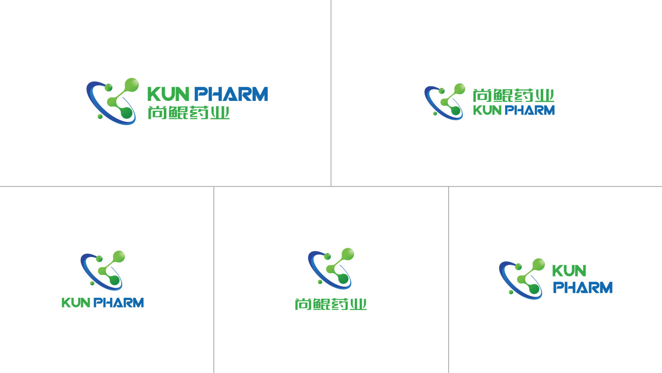 尚鲲药业 医药/生物科技 logo/vi设计图8
