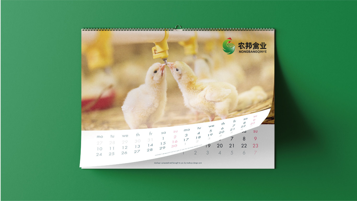 农邦禽业 农产品/养殖场/鸡 logo/vi设计图16