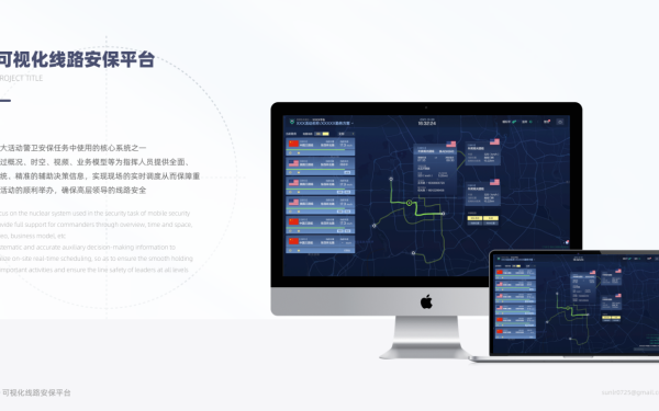 芜湖公安可视化线路安保平台