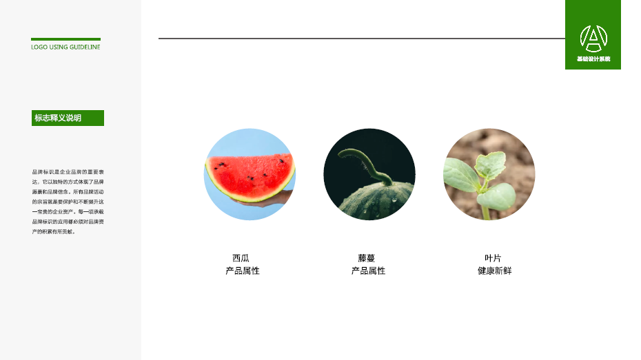 金津果品水果品牌LOGO設計中標圖0