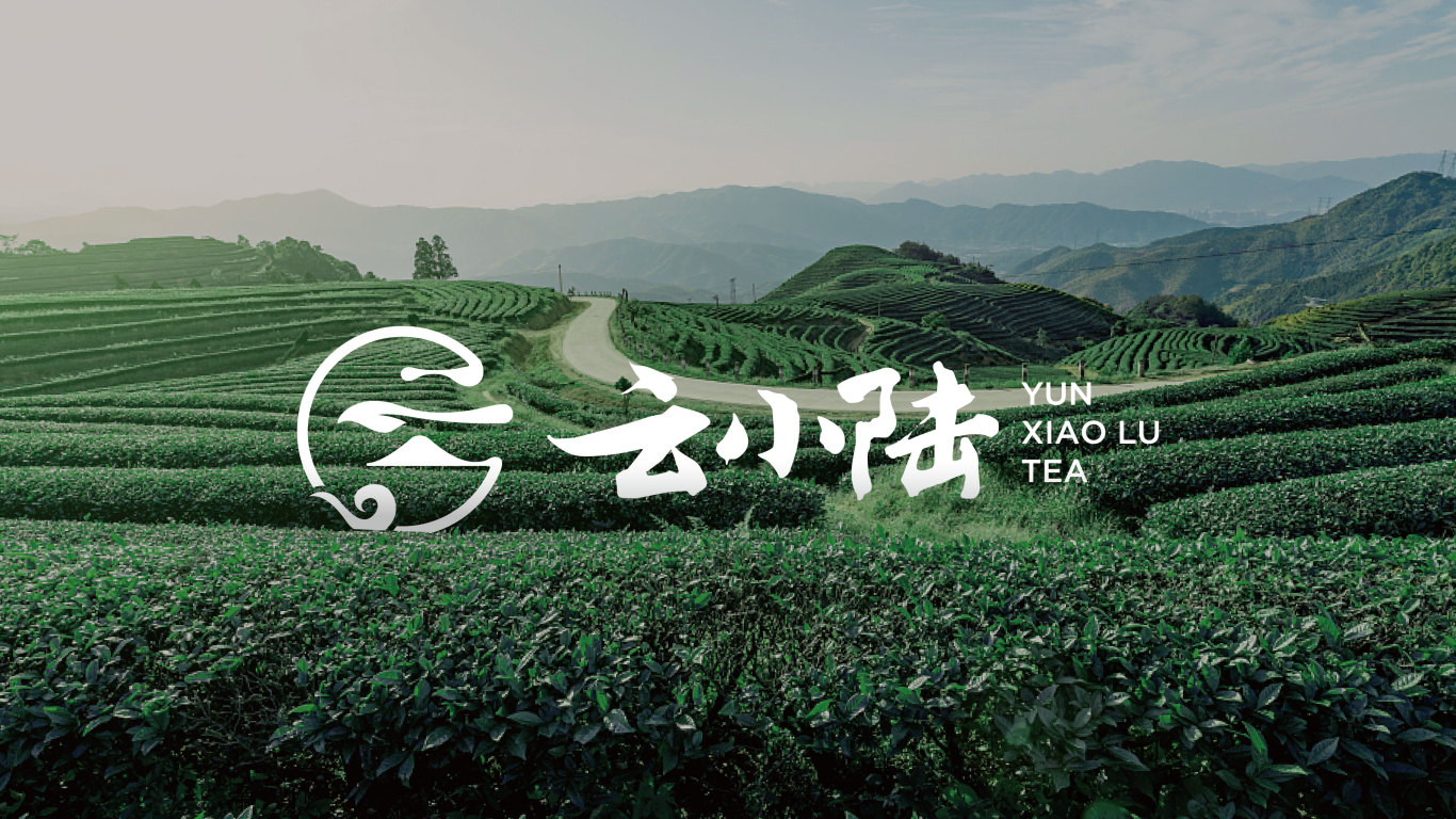 云小陆茶叶品牌LOGO设计中标图6
