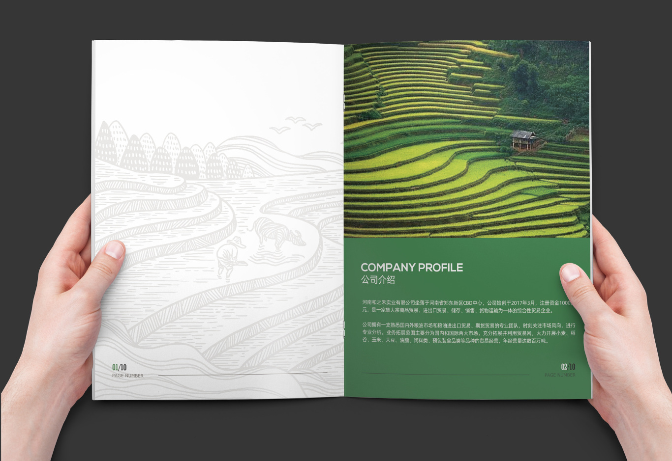 绿色农业粮油画册设计图1