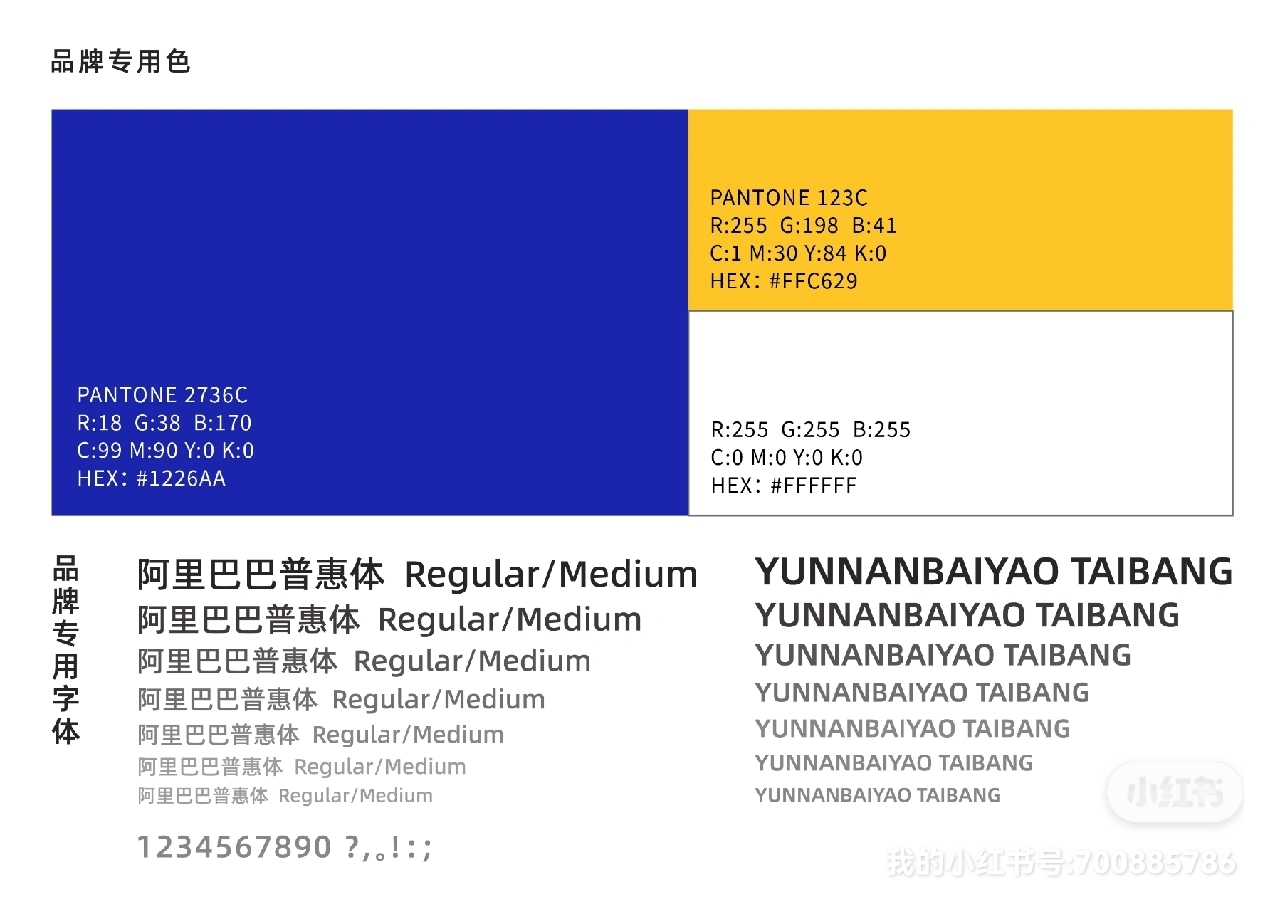 白药泰邦品牌视觉设计图1