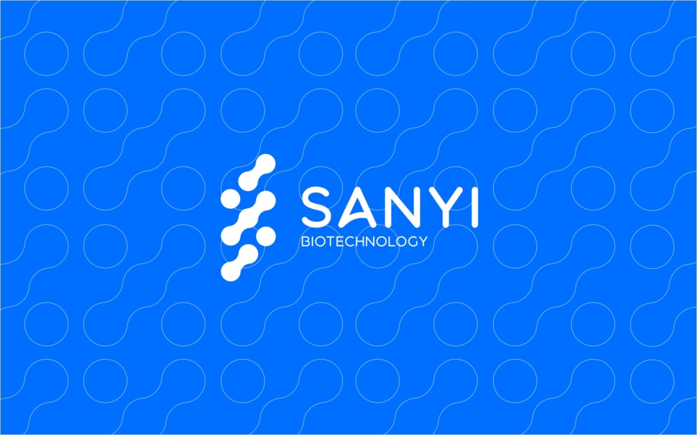 SANYI科技品牌logo设计图5