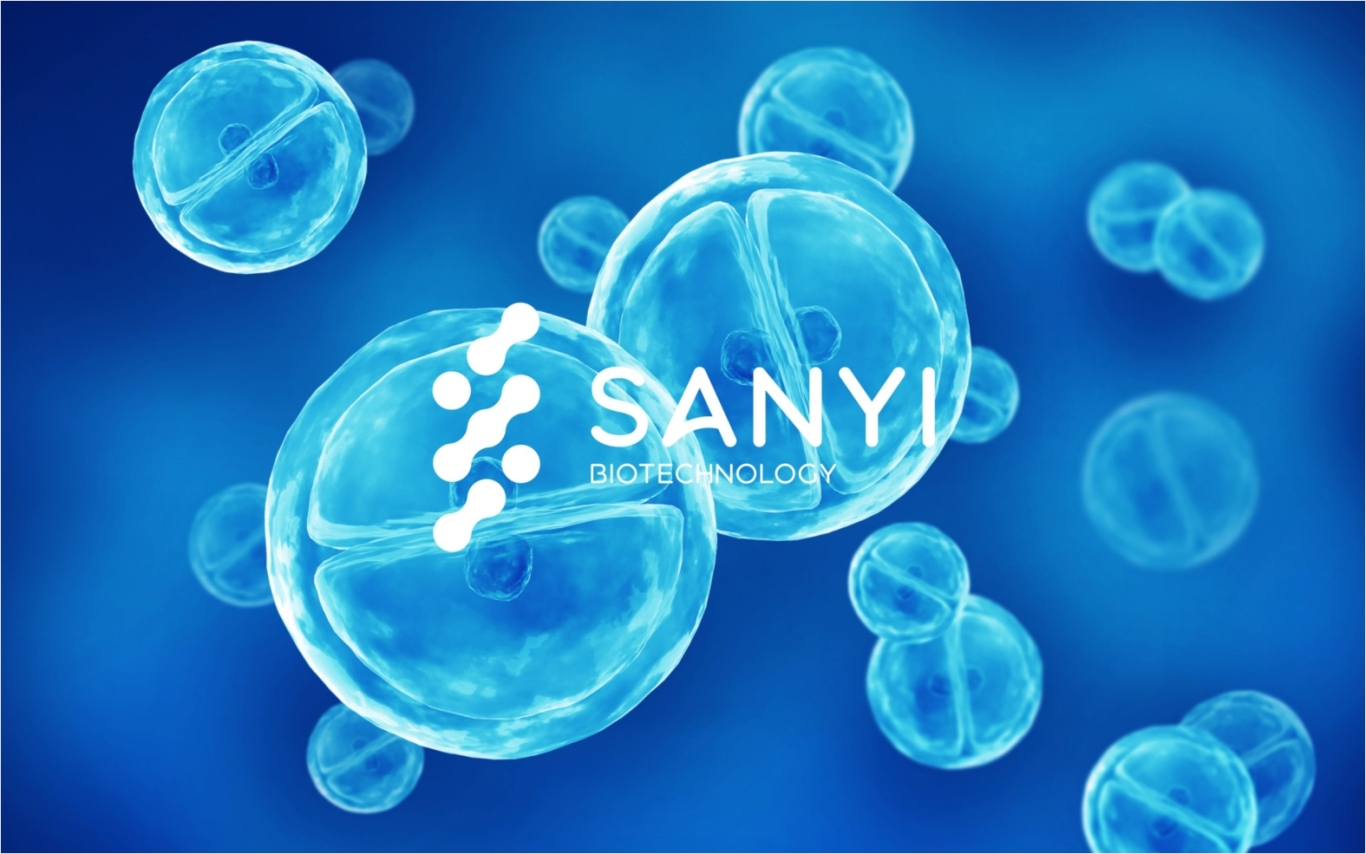 SANYI科技品牌logo设计图8