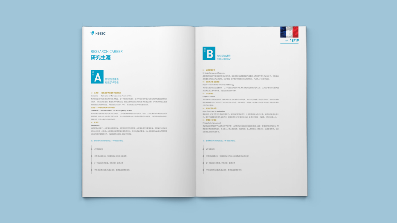 法國INSEEC項目宣傳冊設計圖9