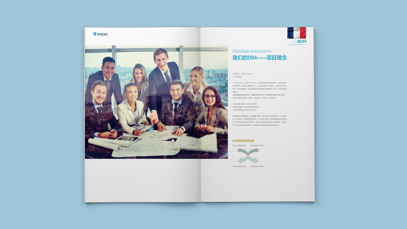 法國INSEEC項目宣傳冊設計圖4