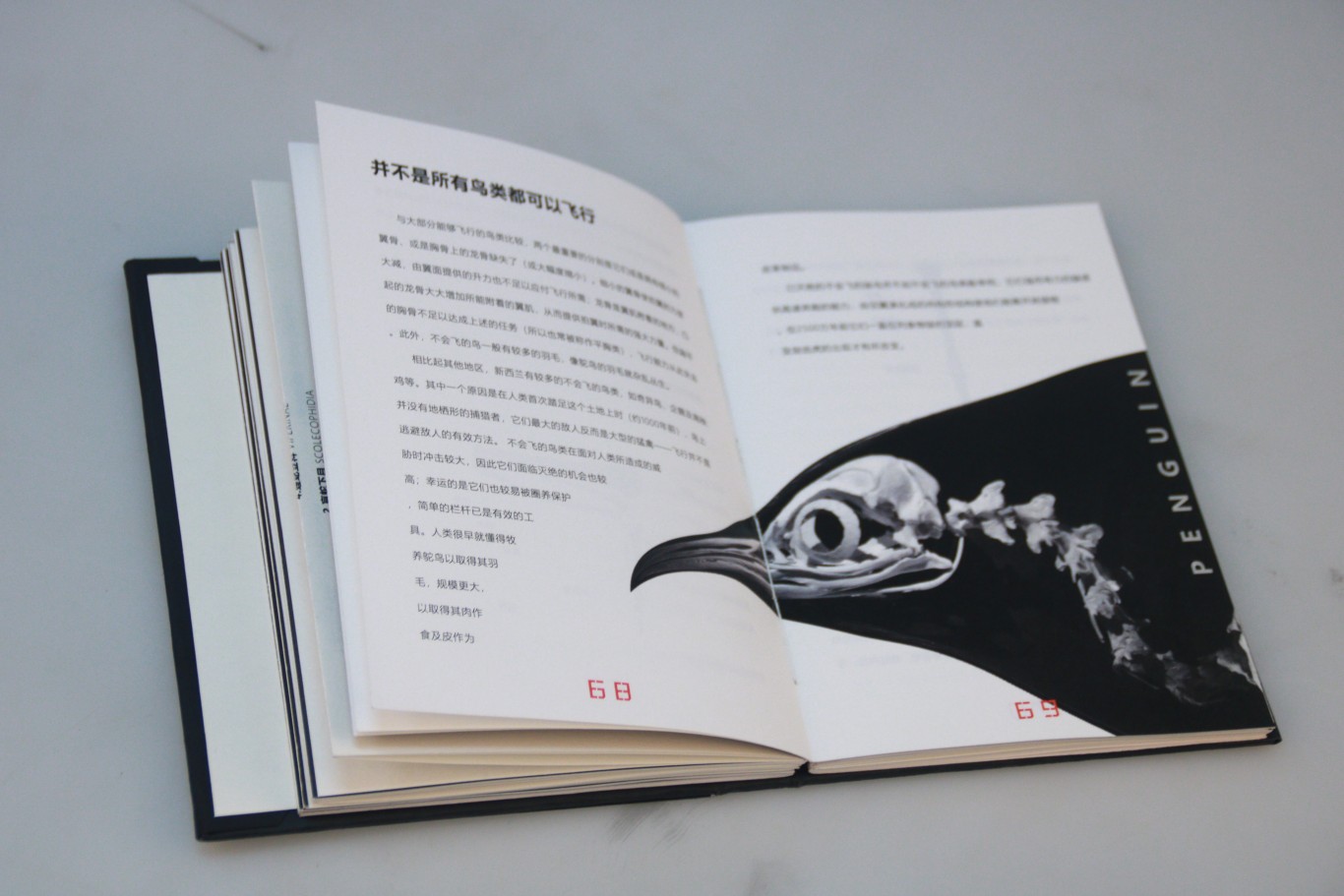 骨——书籍设计图4