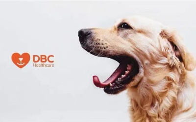 DBC宠物医疗品牌logo设计