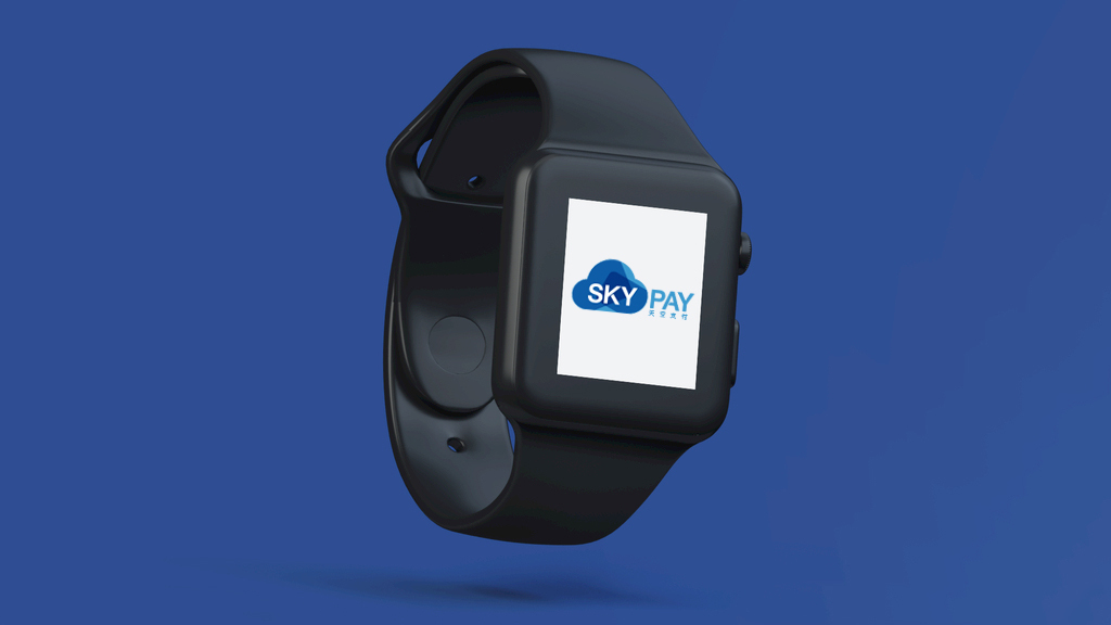 skypay手机支付logo设计图3