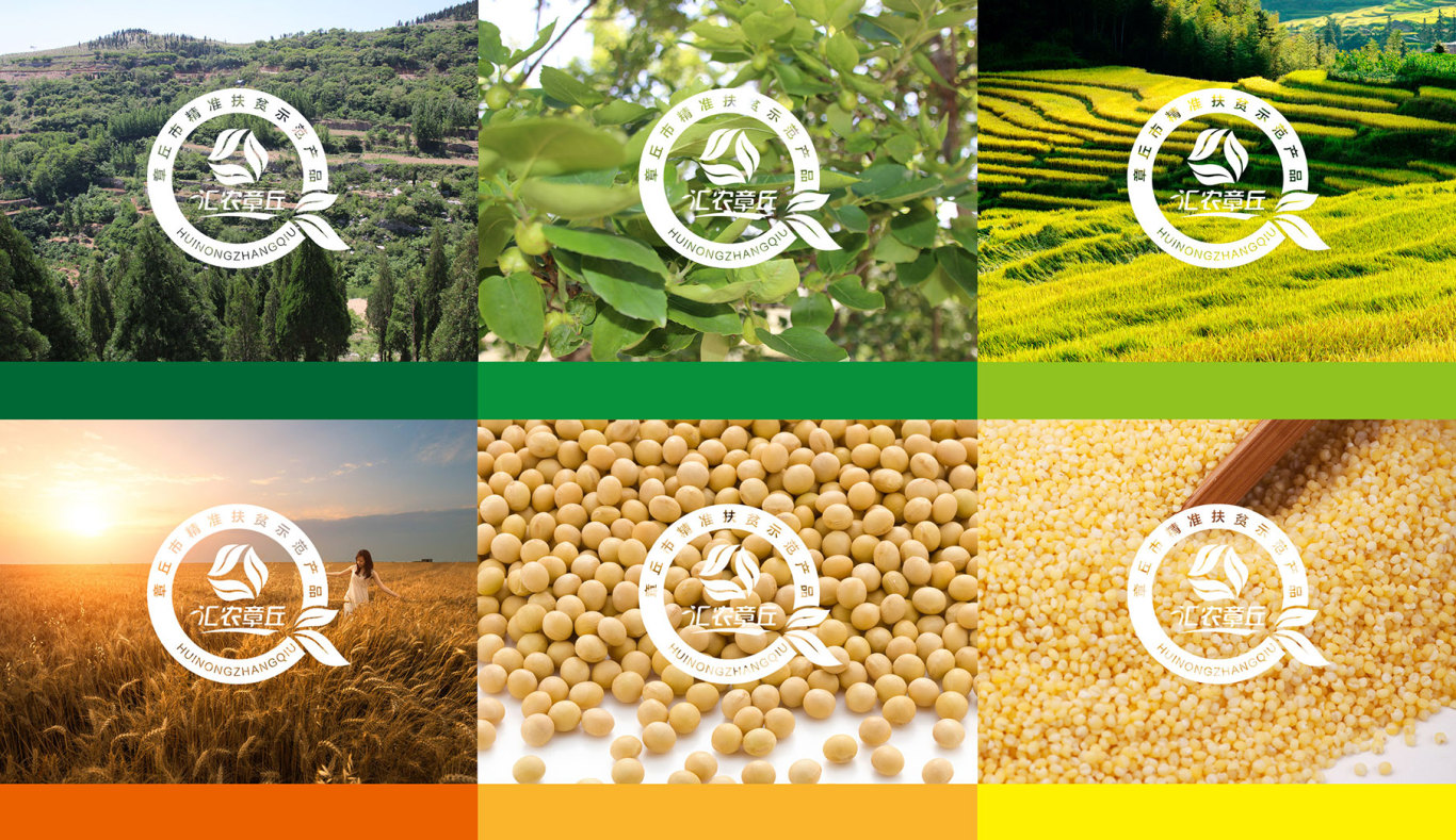 鄉村振興區域農產品品牌logo設計圖3