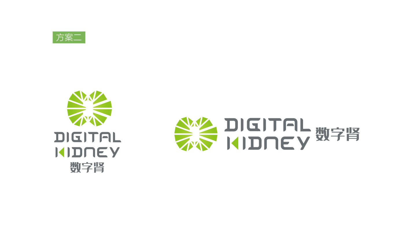 数字肾DIGITAL KIDNEY医疗logo设计图7