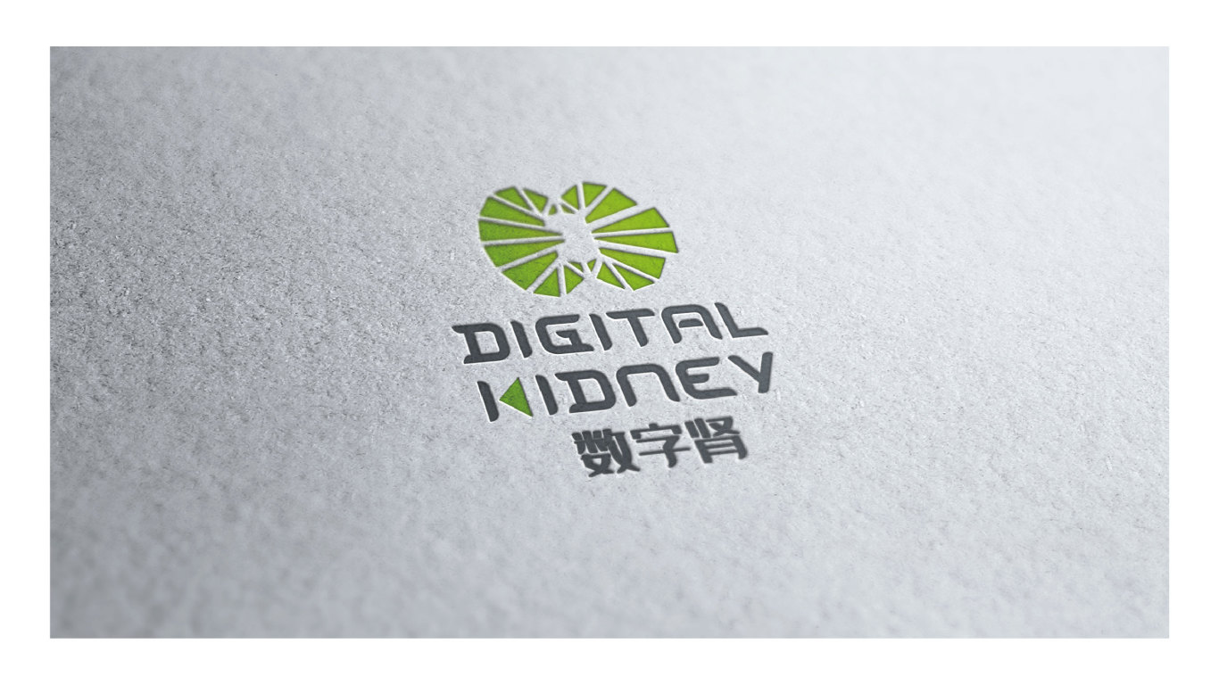 数字肾DIGITAL KIDNEY医疗logo设计图11