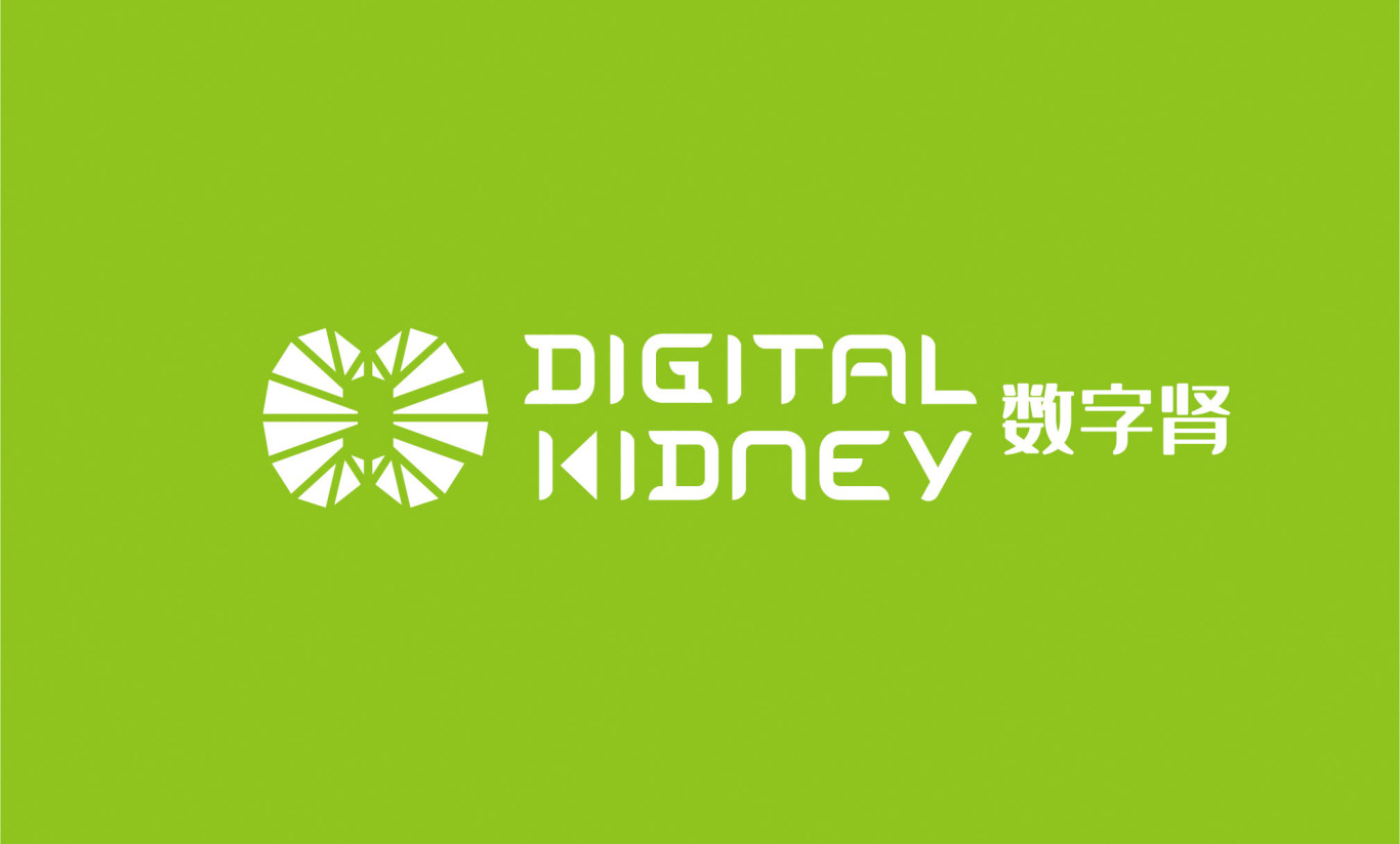 数字肾DIGITAL KIDNEY医疗logo设计图8
