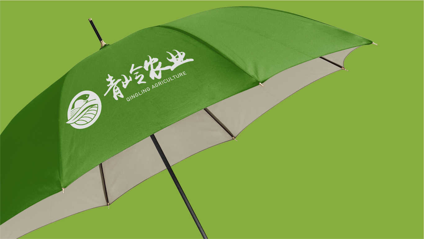 青岭农业集团logo国内版和国际版设计图5