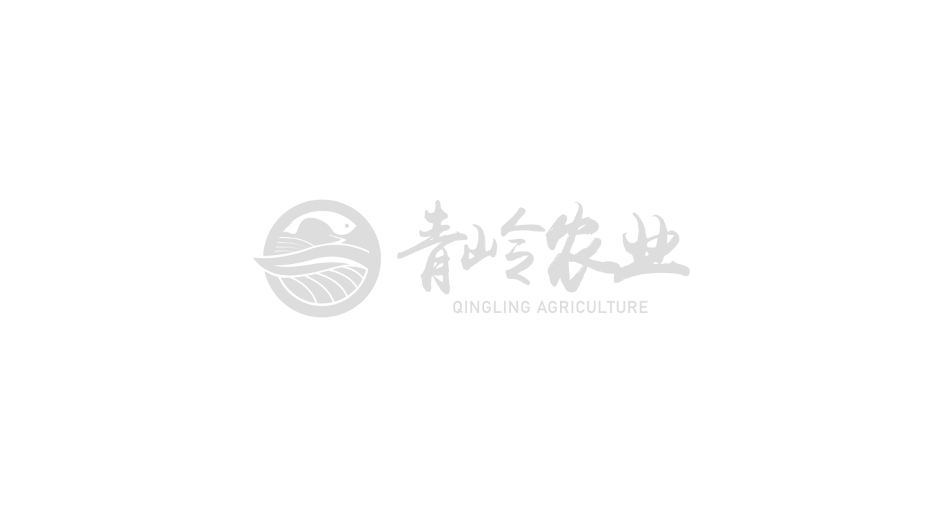 青岭农业集团logo国内版和国际版设计图2