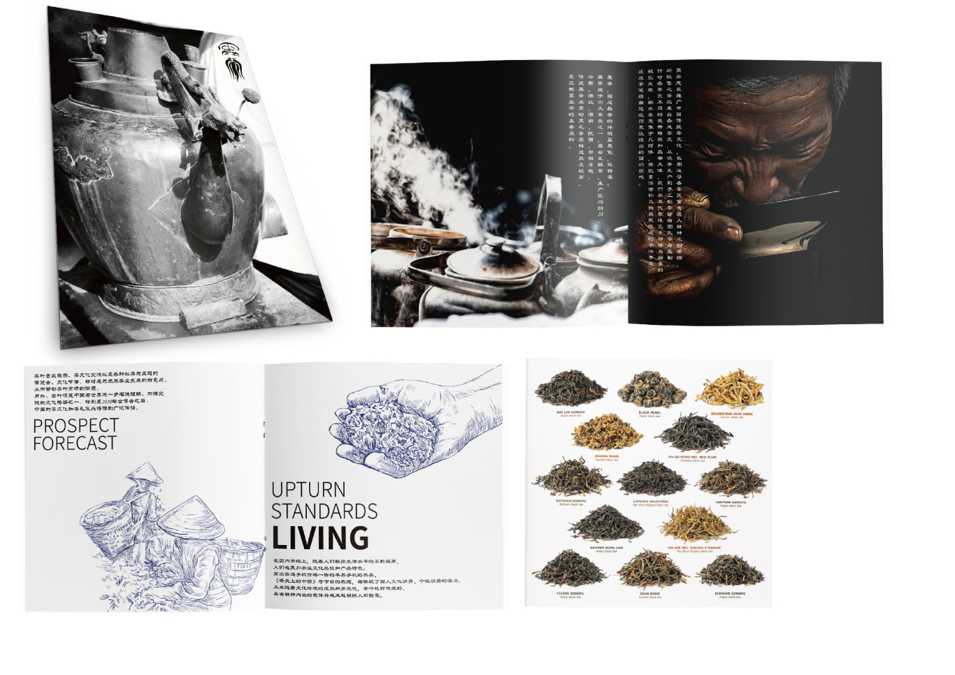 黑茶LOGO品牌設計包裝設計圖8