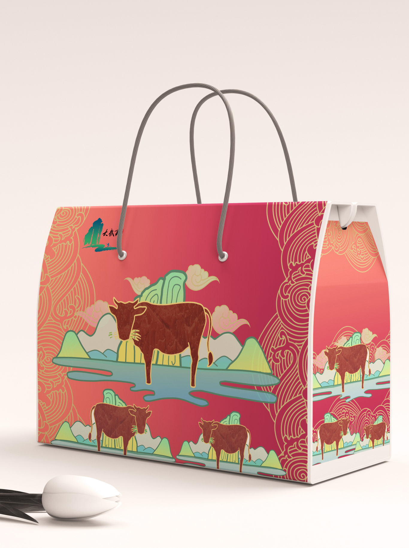 武夷山包装设计—— 熟食牛肉包装图3