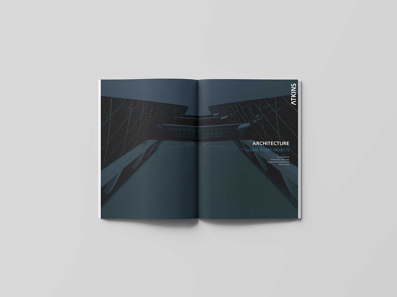 国际建筑品牌 项目宣传册设计图5