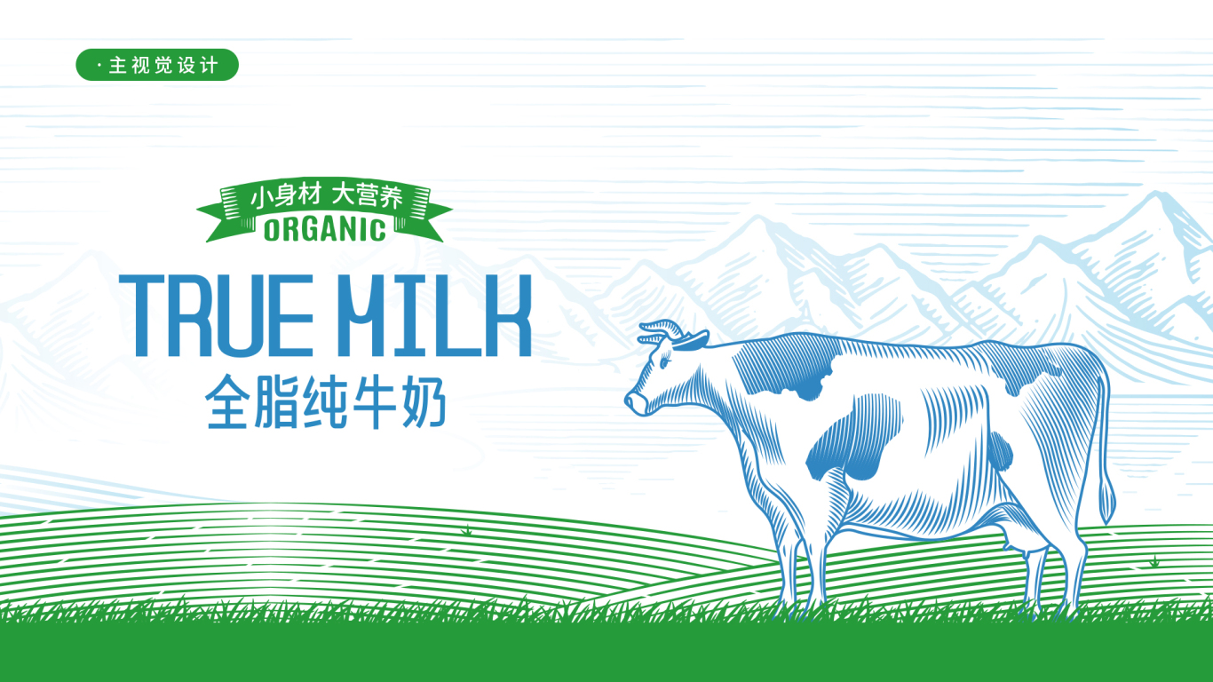 TH牛奶系列包装图3