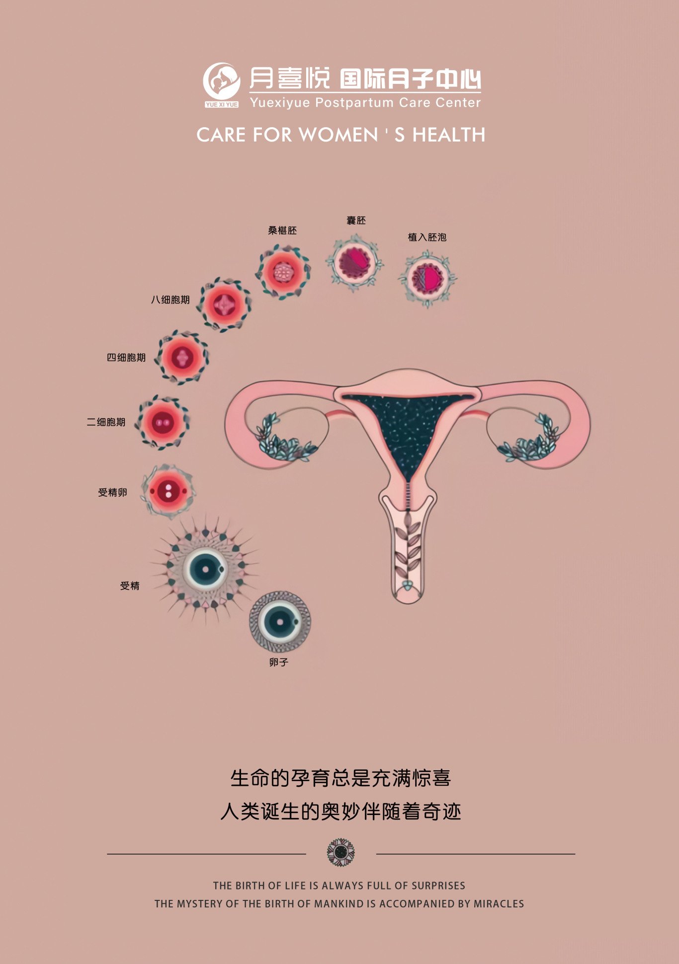 产妇恢复中心图5