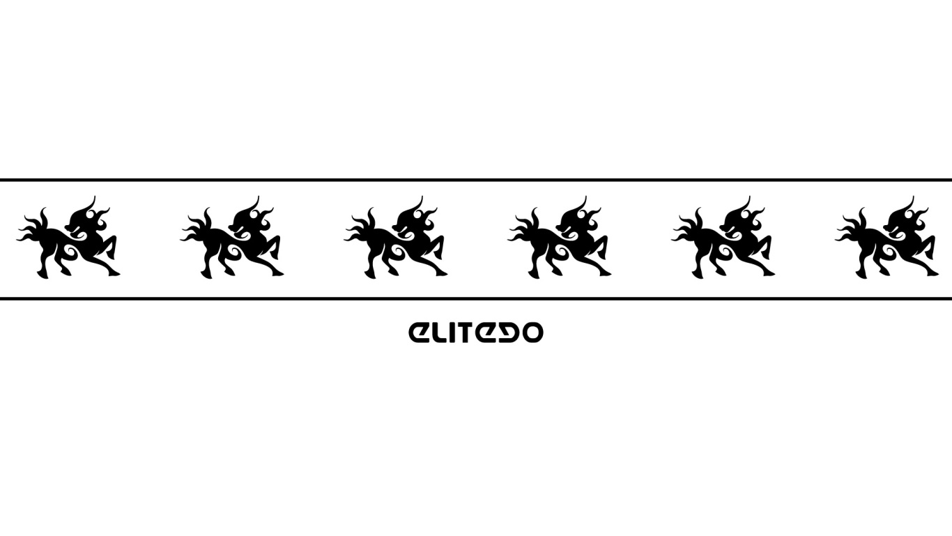 ELITEEO LOGO设计图3