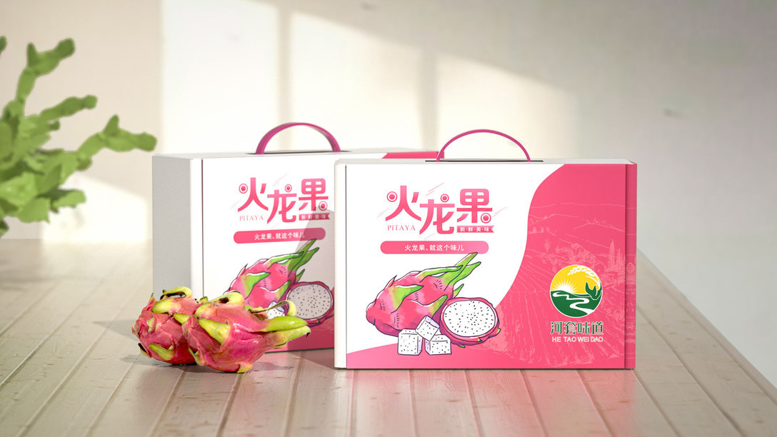 火龙果水果食品包装包装设计案例图7