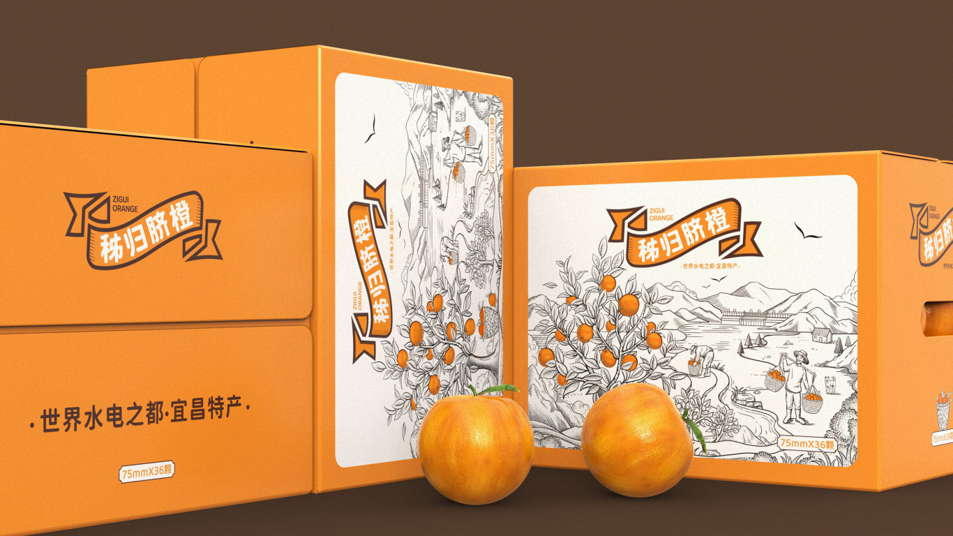 秭歸臍橙包裝設計|世界水電之都宜昌特產圖13