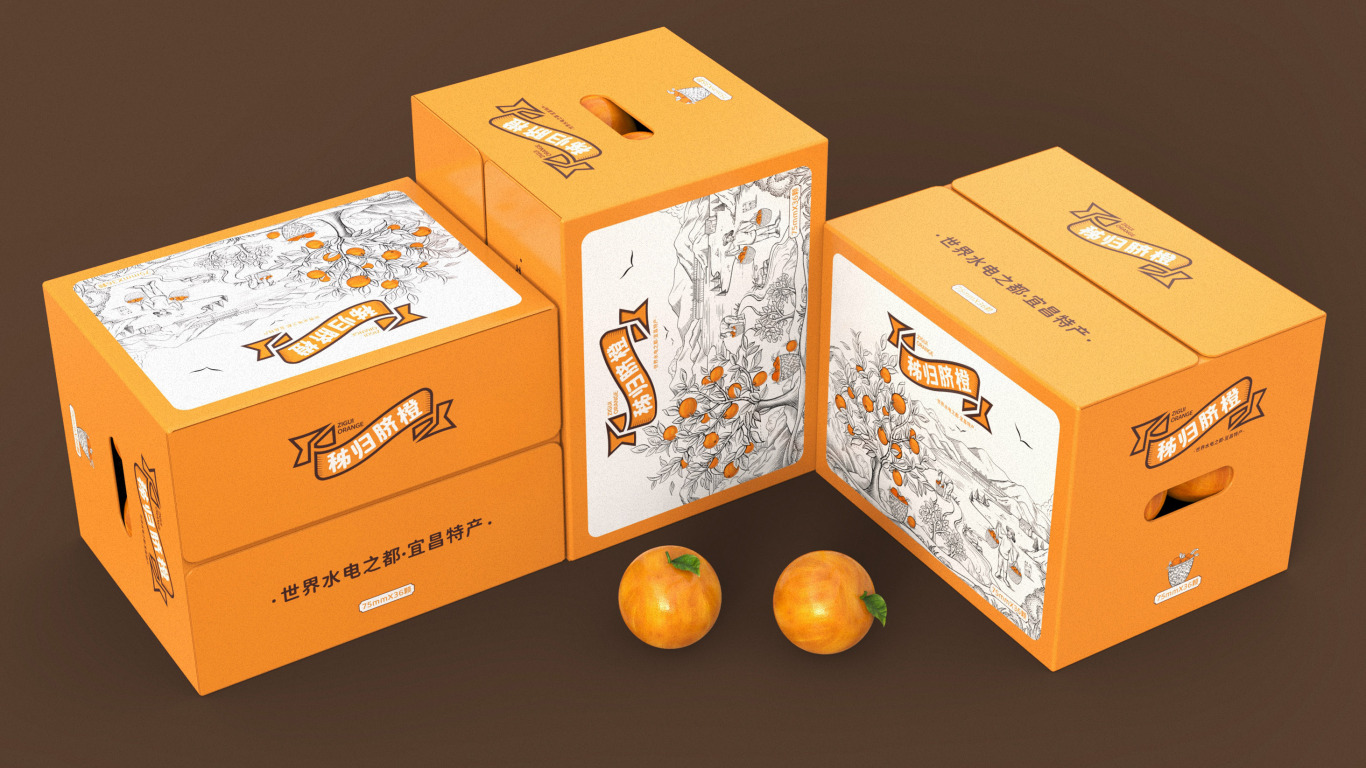秭归脐橙包装设计|世界水电之都宜昌特产图9