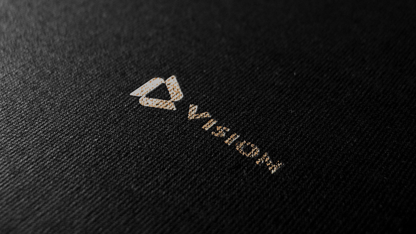 vision logo提案图6