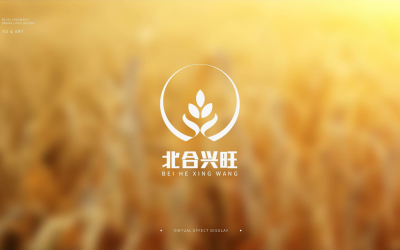 北合兴旺农业logo设计