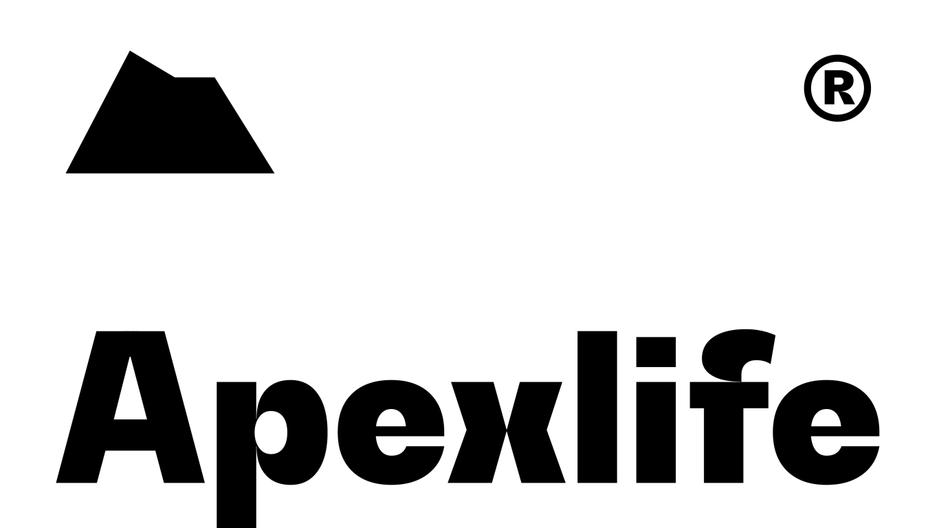 Apexlife®日本潮牌服饰品牌形象设计图1