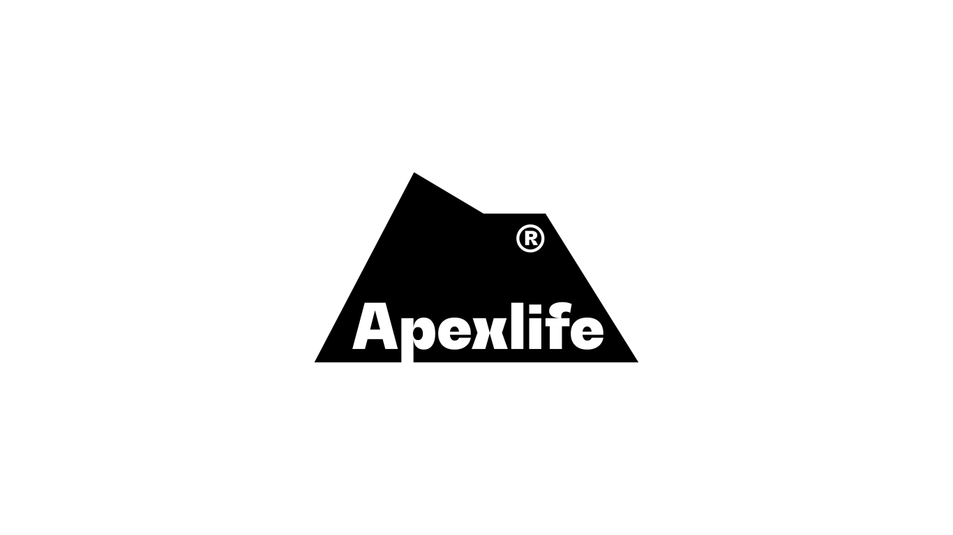 Apexlife®日本潮牌服饰品牌形象设计图0