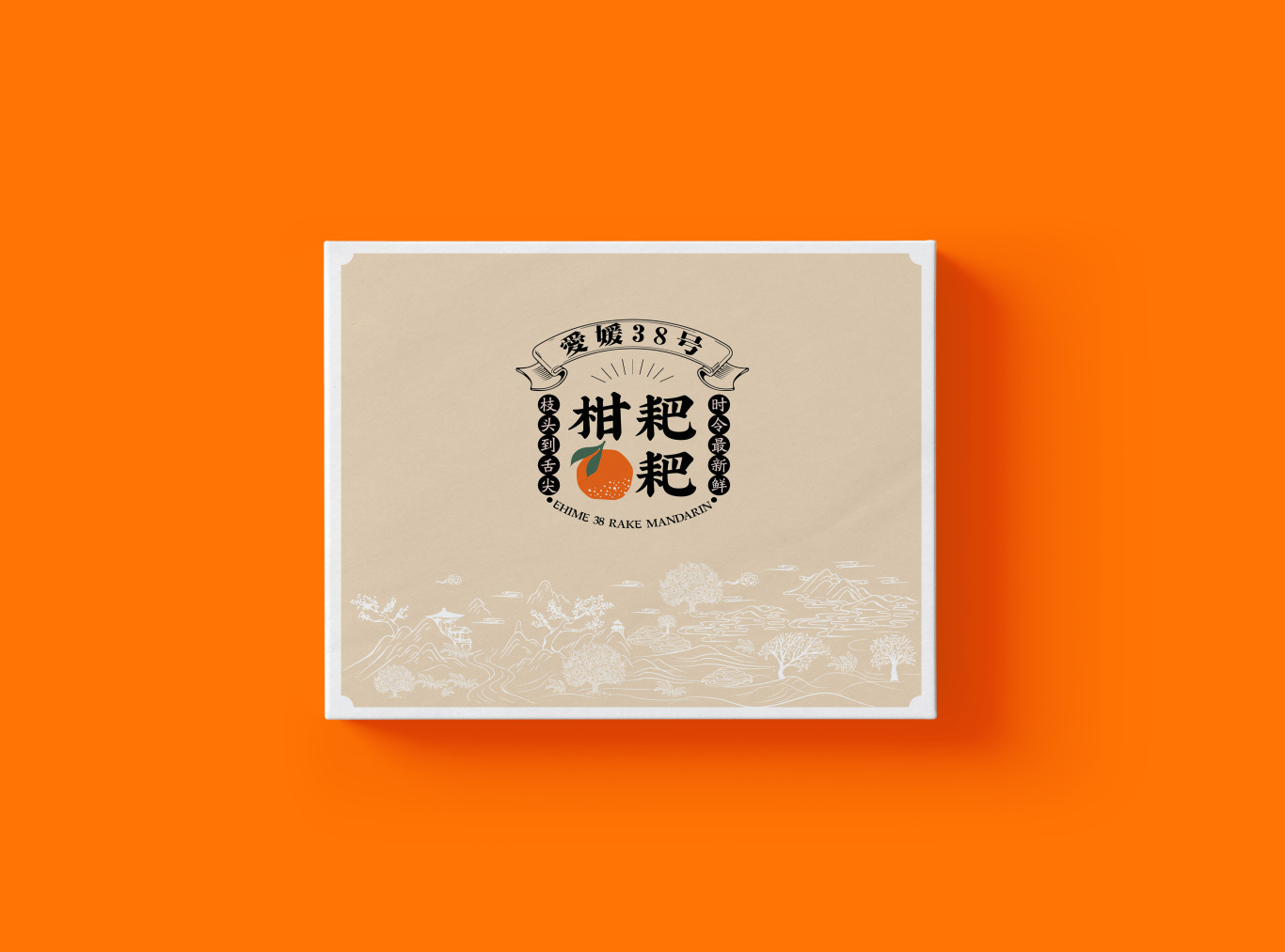 柑橘包裝盒品牌設計圖3