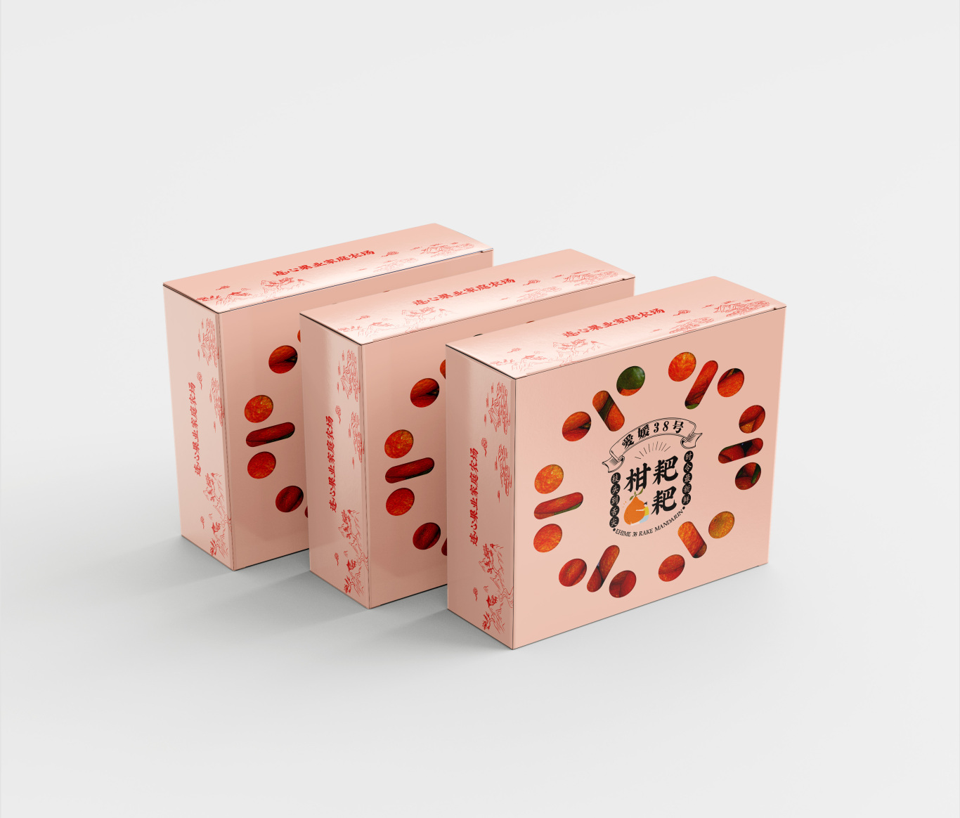 柑橘包裝盒品牌設計圖0