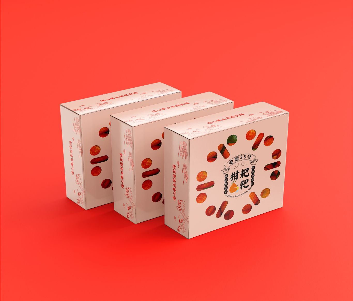 柑橘包裝盒品牌設計圖1