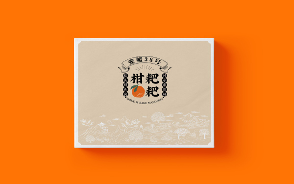 柑橘包裝盒品牌設計