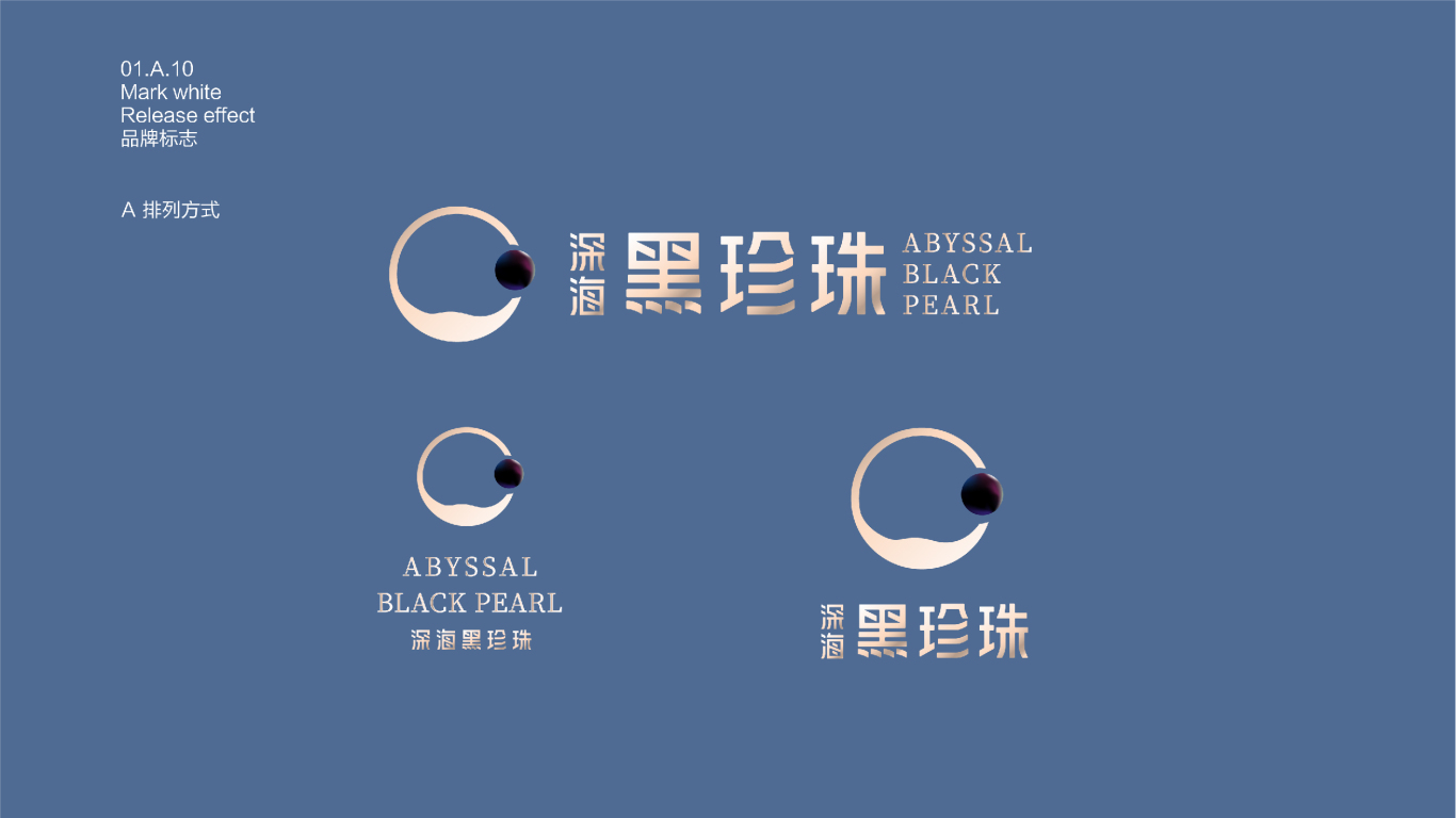 深海黑珍珠品牌设计vi图12