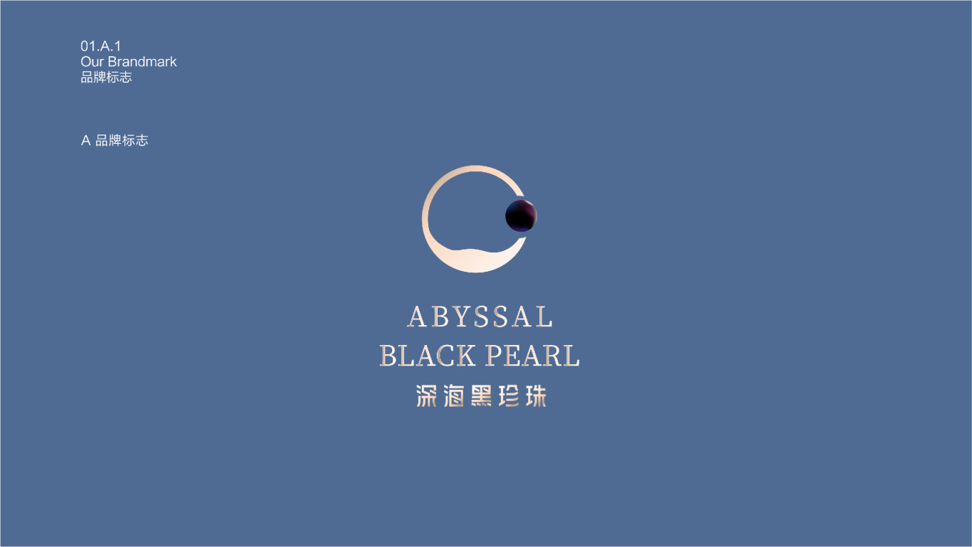 深海黑珍珠品牌设计vi图3
